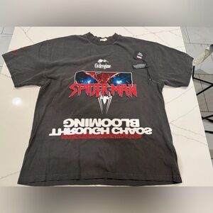 Civil Regime Spider-Man